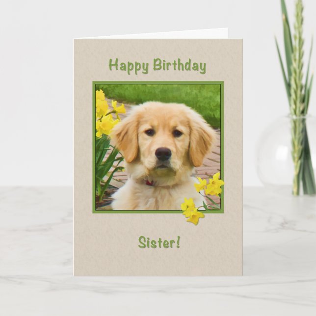 Birthday, Sister, Golden Retriever Dog, Daffodils Card (Front)