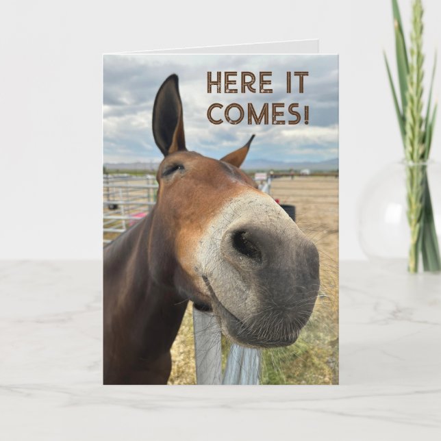  Birthday Smile Funny Mule Animal Card Real Ears (Front)
