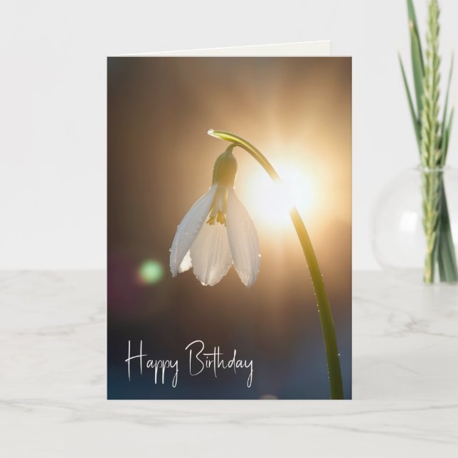 Birthday Snowdrop with Dewdrops in Sunlight Card (Front)