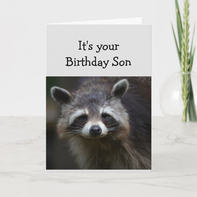 Birthday  Son Fun Age Humour Sad Raccoon Humour Ca Card (Front)