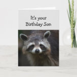 Birthday  Son Fun Age Humour Sad Raccoon Humour Ca Card<br><div class="desc">Birthday Blahs for your  Son Fun Age Just because you've had a lot of them.  Humourous depressed Raccoon Animal art</div>