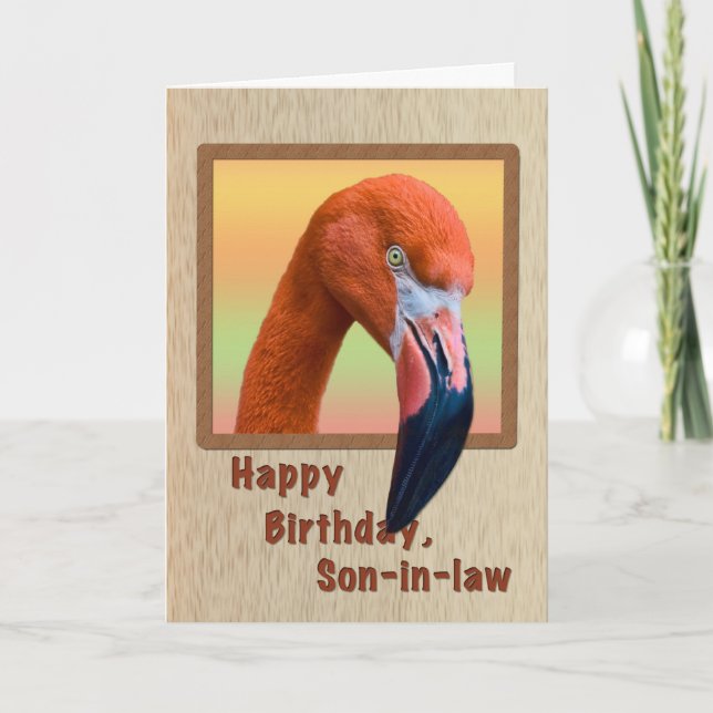 Birthday, Son-in-law, Flamingo Bird Card (Front)