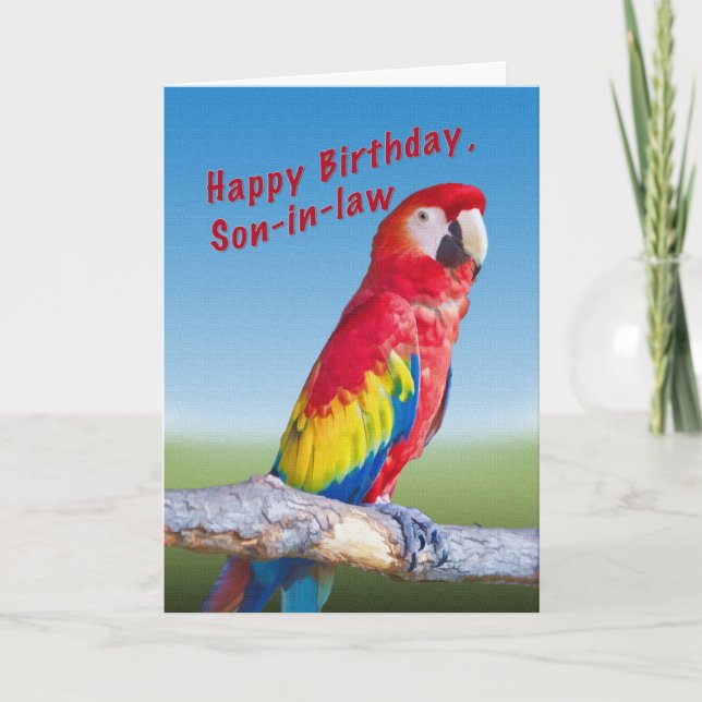 Birthday, Son-in-law, Macaw Parrot Card (Front)