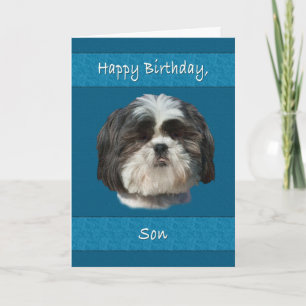 Birthday, Son, Shih Tzu Dog Card