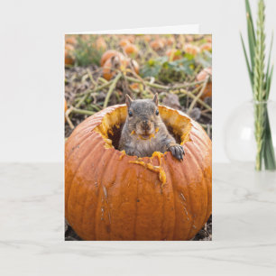 Birthday Squirrel in an Autumn Pumpkin Card