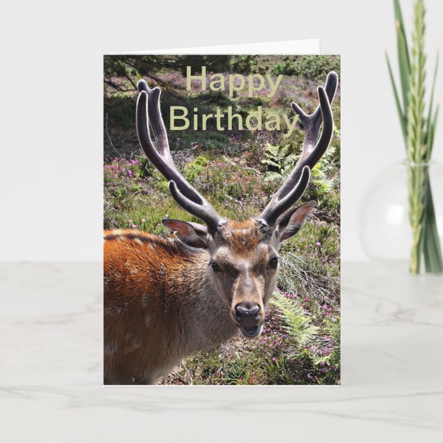 Birthday stag card (Front)