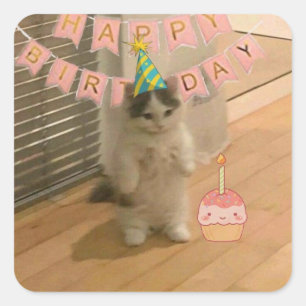 Birthday stickers