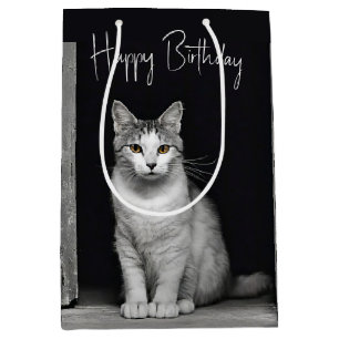 Birthday Tabby Cat In Doorway  Medium Gift Bag