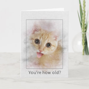 Birthday tabby kitten card