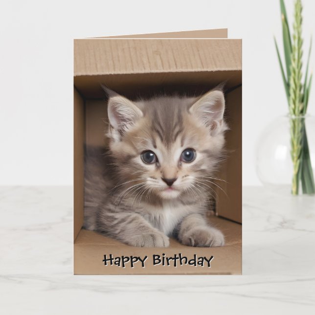 Birthday Tabby Kitten In Carboard Box Card (Front)