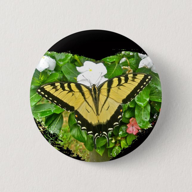 Birthday Tiger Swallowtail Butterfly Items 2 Inch Round Button (Front)