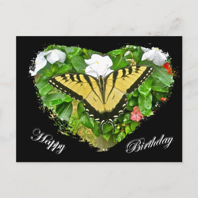 Birthday Tiger Swallowtail Butterfly Items Postcard (Front)