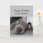 Birthday to my  Brother Fun Dog Relax Humour Card<br><div class="desc">Happy Birthday to my  Brother definition of Relax Humour Greeting with cute relaxing Great Dane Dog</div>
