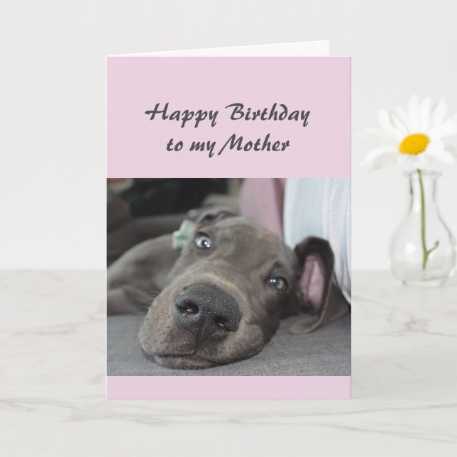 Birthday to my Mother Fun Dog Relax Humor Card (Small Plant)