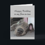 Birthday to my Son-in-law  Fun Dog Relax Humour Card<br><div class="desc">Happy Birthday to my Son-in-law definition of Relax Humour Greeting with cute relaxing Great Dane Dog</div>