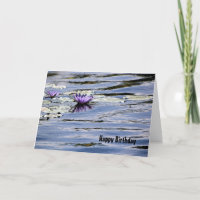 Birthday, Water Lily in Pastel Blue Pond