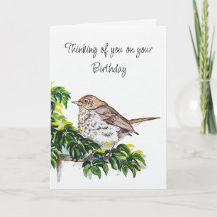 Birthday Watercolor Swainson's Thrush Bird Card