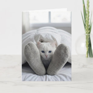 Birthday White Cat Under a Duvet Card