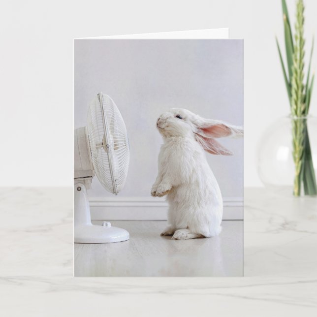 Birthday White Floppy-eared Rabbit Cooling Off Card (Front)