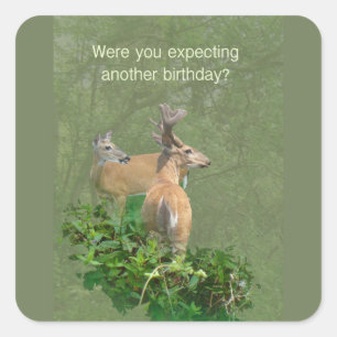 Birthday Whitetail Deer Buck & Doe Square Sticker