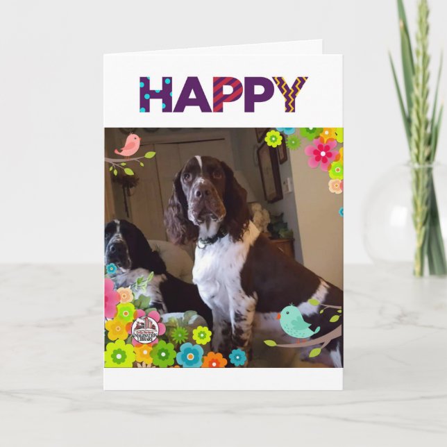 BIRTHDAY WISH  WITH A **SURPRISE INSIDE FOR SURE** CARD (Front)