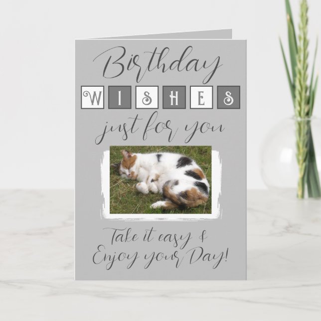 Birthday wishes add cat photo grey white card (Front)