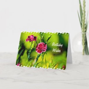 Birthday wishes card