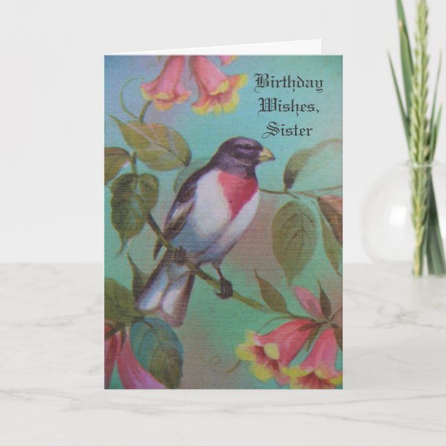 Birthday Wishes, Siste, pretty, red-breasted bird. Card (Front)