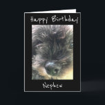 BIRTHDAY WISHES TO **NEPHEW** CARD<br><div class="desc">HAVE FUN SENDING OR GIVING THIS CARD FOR HE WILL LOVE RECEIVING IT FROM "YOU" FOR SURE. I LOVE THIS LINE OF CARDS AND I THANK YOU FOR STOPPING BY 1 OF MY 8 STORES.</div>