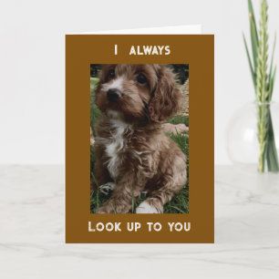 BIRTHDAY WISHES TO SOMEONE I "LOOK UP TO" CARD