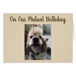 BIRTHDAY WISHES TO YOU ON OUR MUTUAL BIRTHDAY