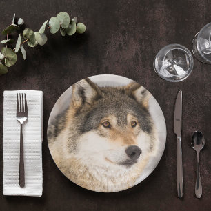 Birthday wolf cute  boy paper plate