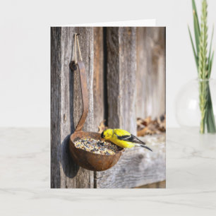 Birthday Yellow Finch on Rusty Ladle Card