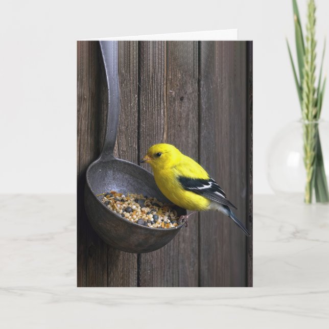 Birthday Yellow Finch on Rusty Ladle Card (Front)