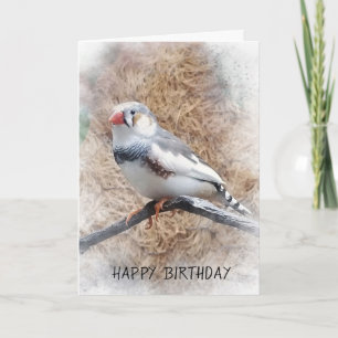birthday-zebra finch on branch card