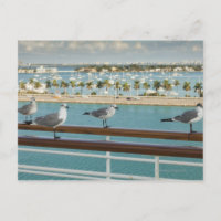 Biscayne Bay seen from cruise ship's deck