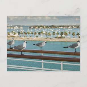 Biscayne Bay seen from cruise ship's deck Postcard