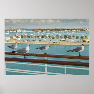 Biscayne Bay seen from cruise ship's deck Poster