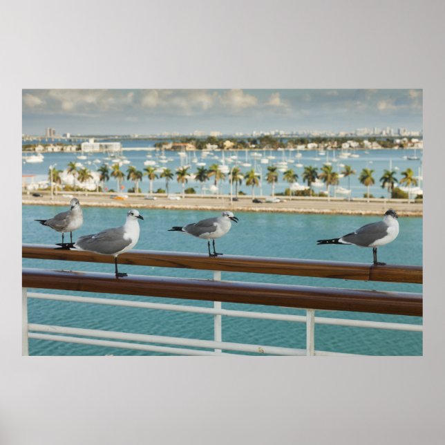 Biscayne Bay seen from cruise ship's deck Poster (Front)