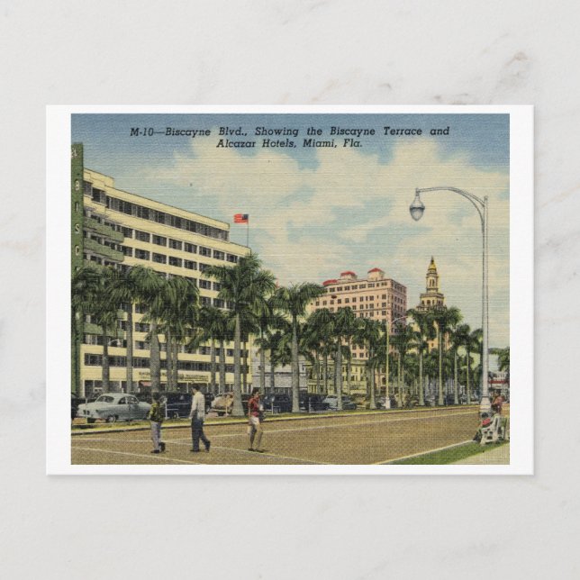 Biscayne Blvd. Hotels, Miami, Florida Vintage Postcard (Front)