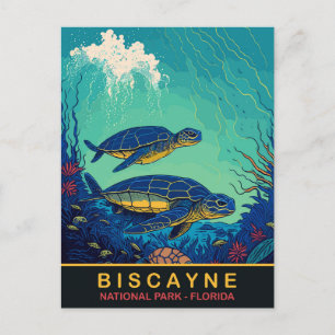 Biscayne, Turtles Underwater, Floraida, Travel Postcard