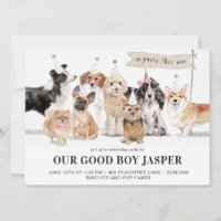 Biscuits & Pup Cakes Dog's Birthday Party