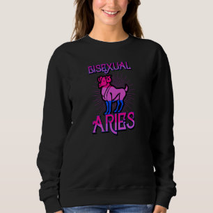 Bisexual Aries Zodiac Sign Birthday Horoscope Lgbt Sweatshirt