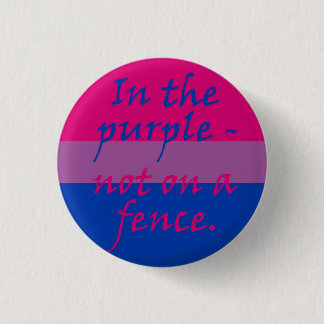 Bisexual - not on a fence 1 inch round button