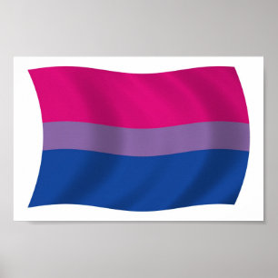 Bisexual Pride Flag Poster Print