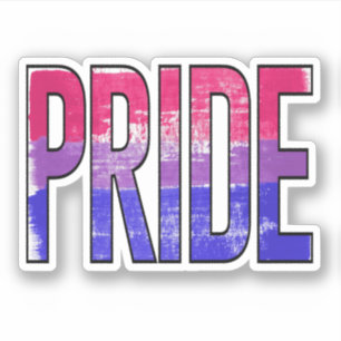 Bisexual Pride Word