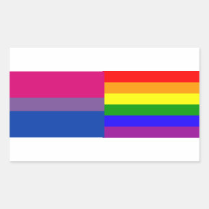 Bisexuel/rainbow flag stickers