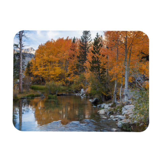 Bishop Creek. Outlet and fall colour Magnet (Horizontal)