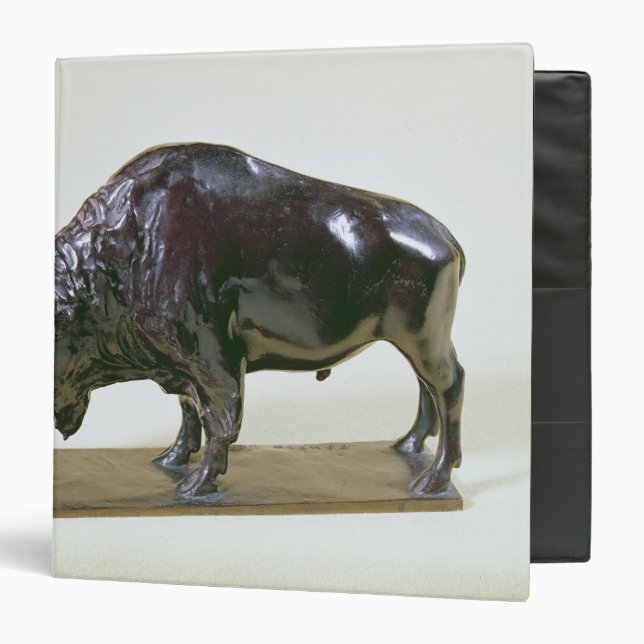 Bison, 1907 binder (Front/Inside)