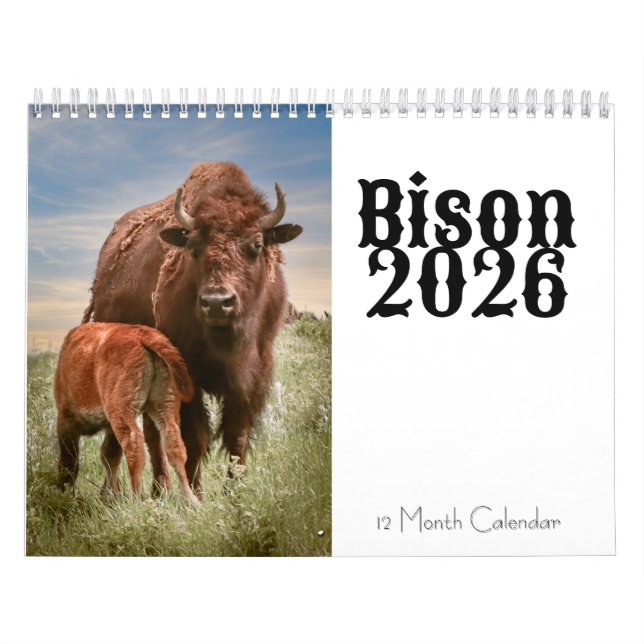 Bison 2026 Calendrier des 12 mois (Protection)